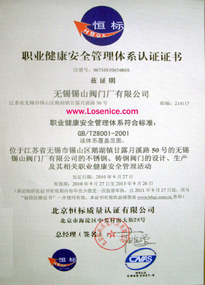 無錫錫(xi)閥GB/T28001-2001